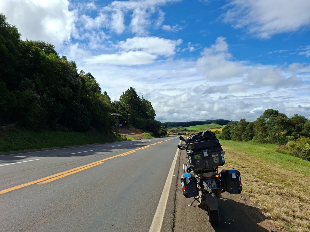 Campos de canola na beira da pista